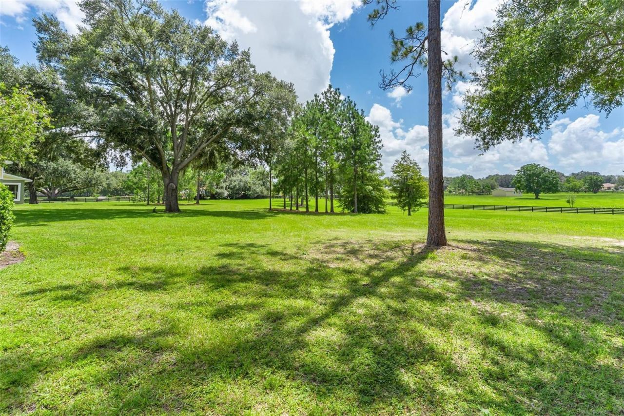 10615 NE 104th Circle, Oxford, FL 34484 Photo
