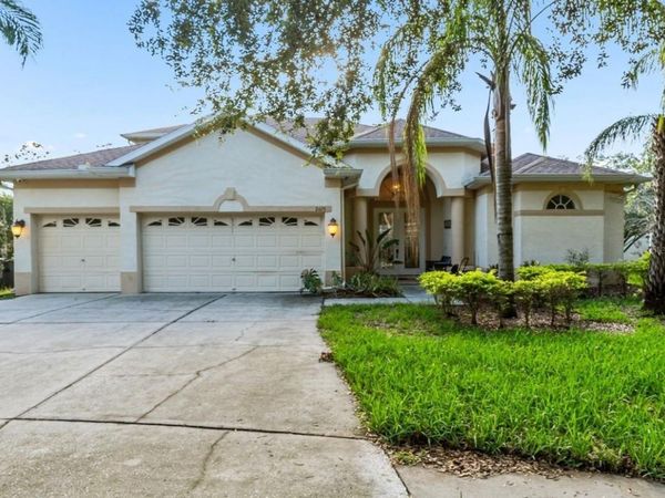 2425 BLUE STONE COURT , VALRICO, FL 33594