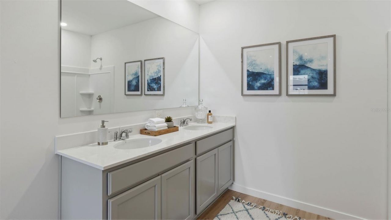 3282 Spineywood Drive, Ocoee, FL 34761 Photo