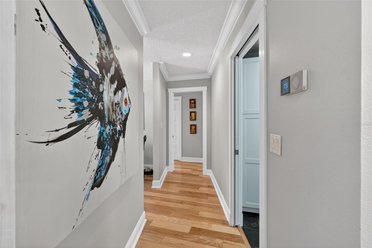 14013 Shady Shores Drive, Tampa, FL 33613 Photo