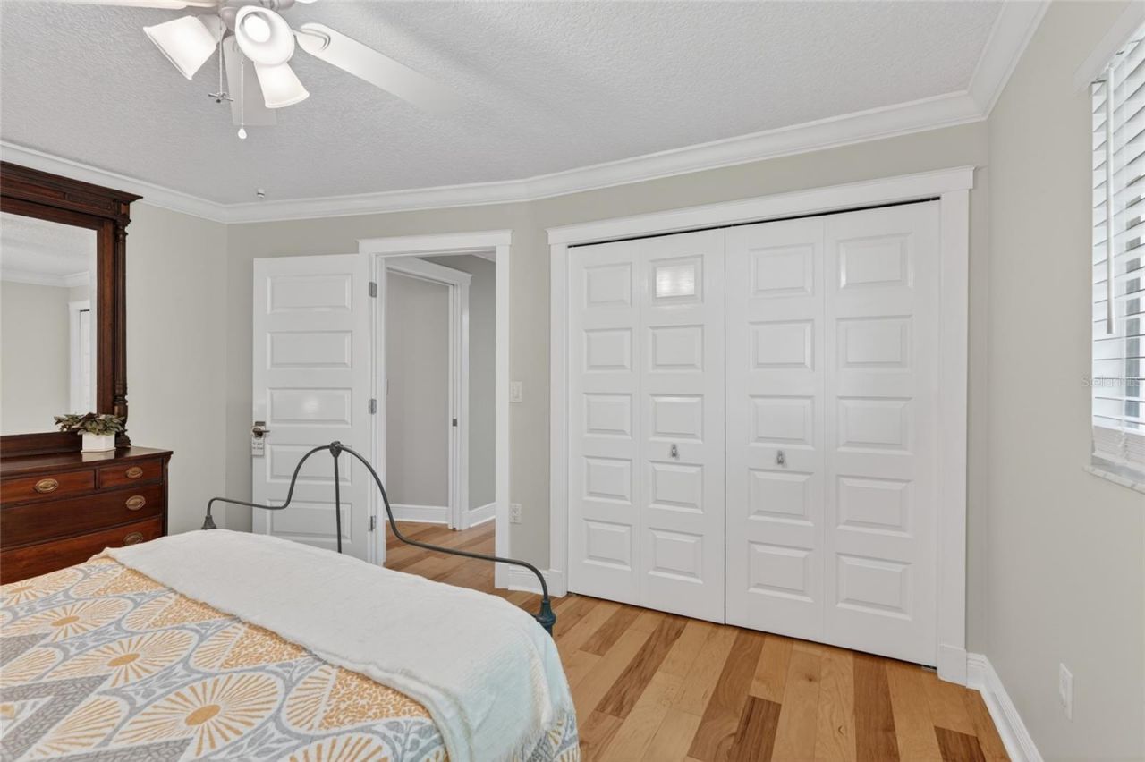 14013 Shady Shores Drive, Tampa, FL 33613 Photo