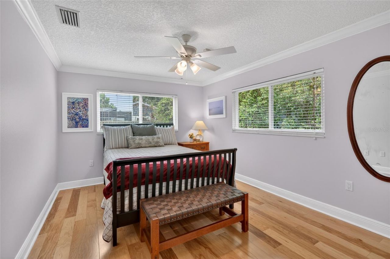 14013 Shady Shores Drive, Tampa, FL 33613 Photo