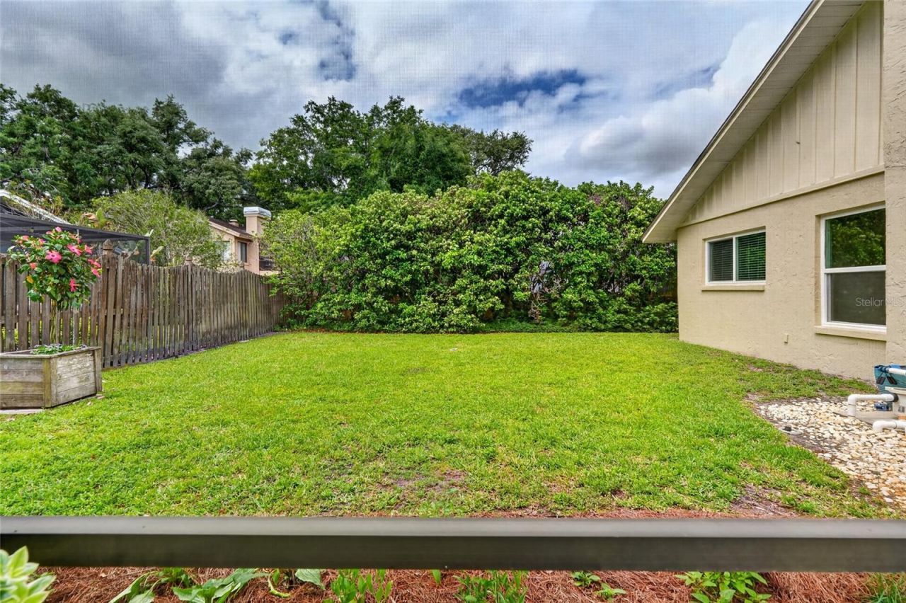 14013 Shady Shores Drive, Tampa, FL 33613 Photo