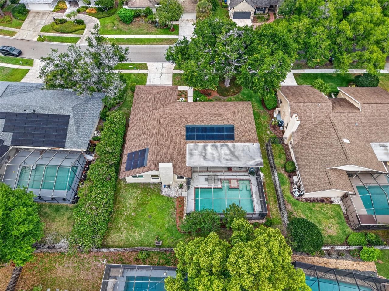 14013 Shady Shores Drive, Tampa, FL 33613 Photo