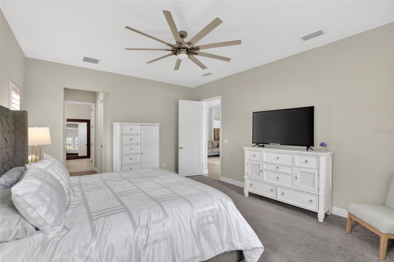 11226 Hawks Fern Drive, Riverview, FL 33569 Photo