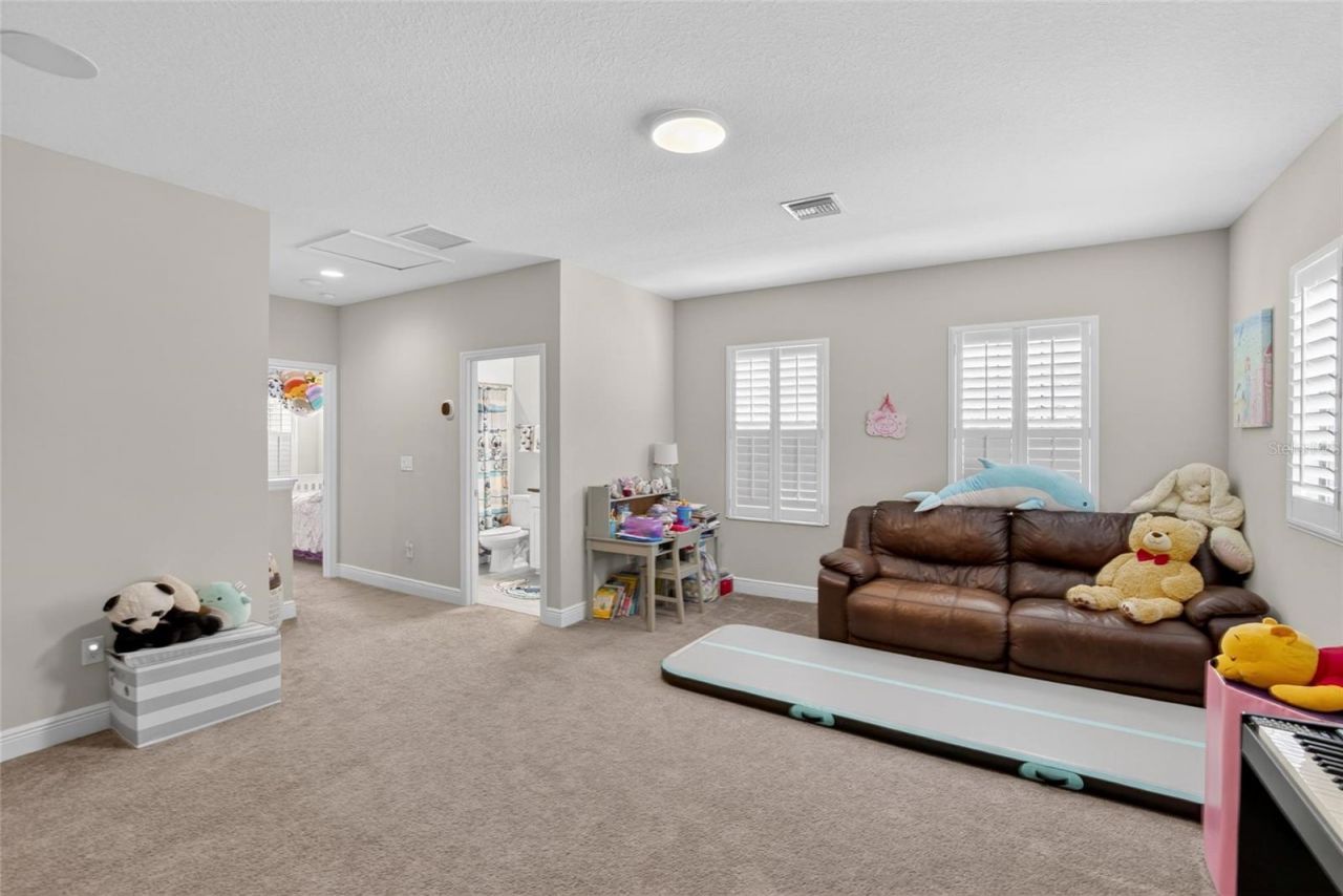 11226 Hawks Fern Drive, Riverview, FL 33569 Photo