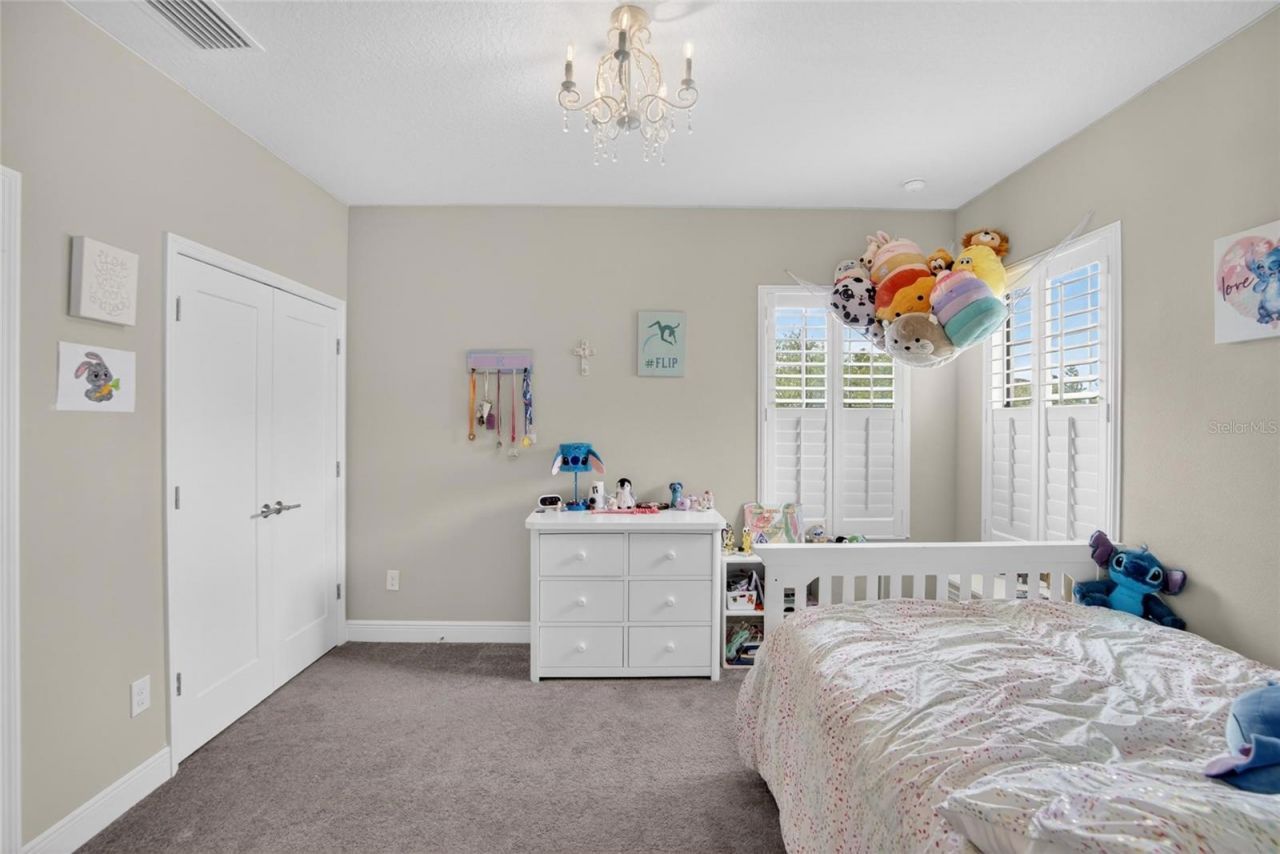 11226 Hawks Fern Drive, Riverview, FL 33569 Photo