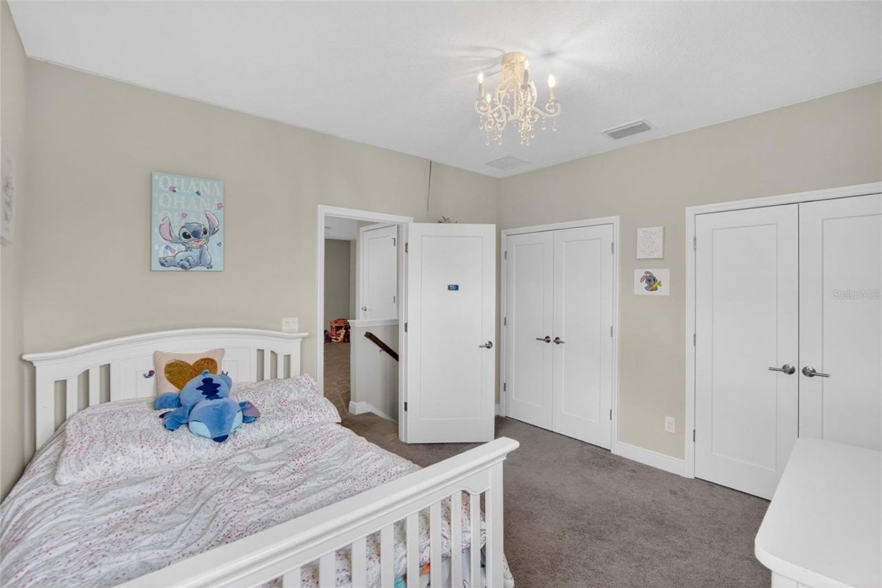 11226 Hawks Fern Drive, Riverview, FL 33569 Photo