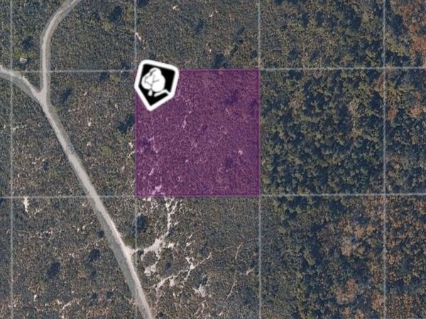 TBD COUNTY ROAD , OAK HILL, FL 32759