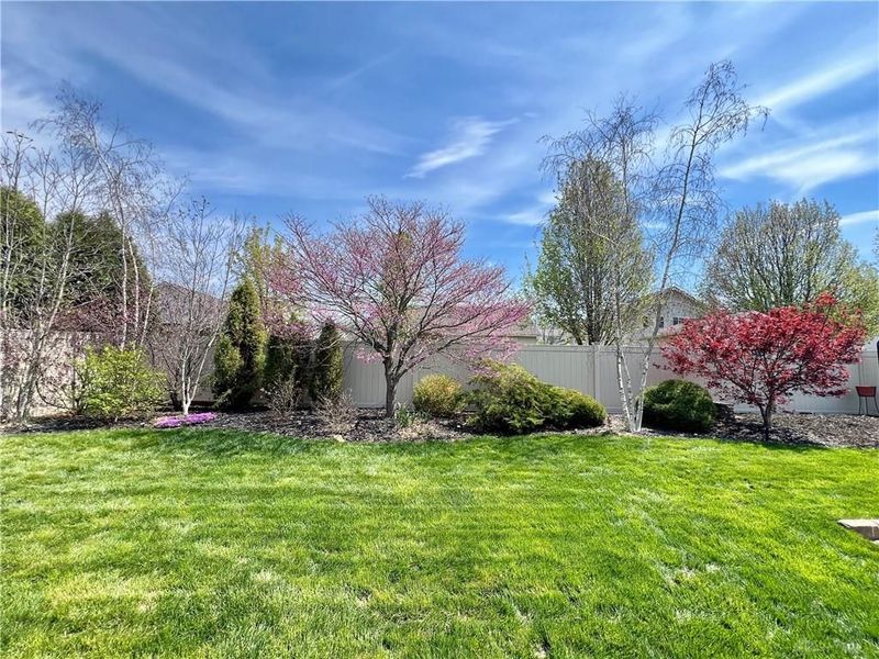 6416 Churchill Downs Place, Huber Heights, OH 45424 Photo 5