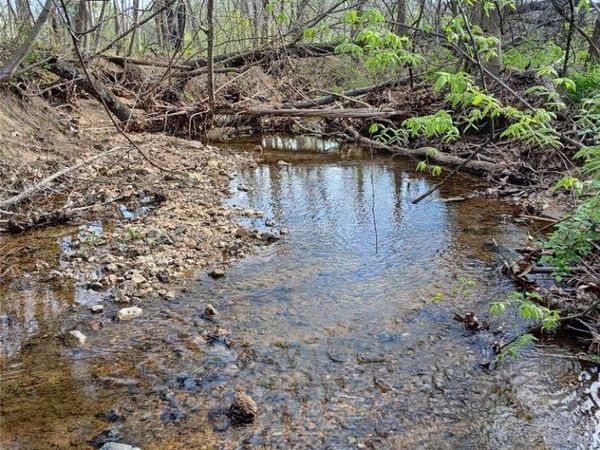 8319 Highway 21 , Ironton, MO 63650