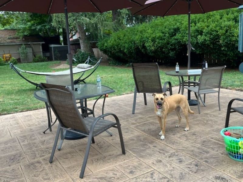 4601 W 221st Street, Fairview Park, OH 44126 Photo 7