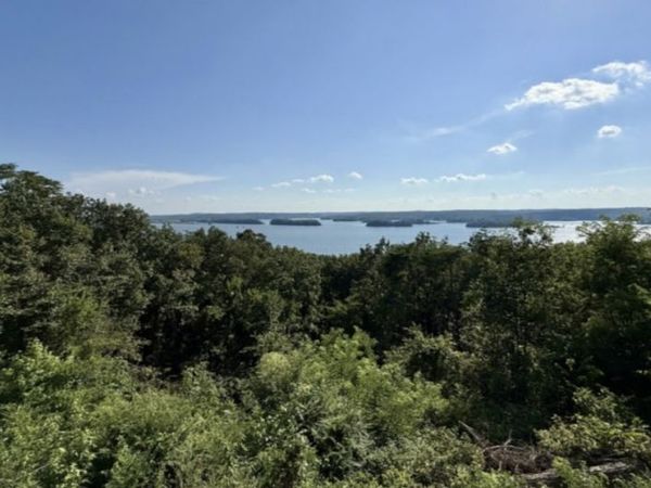 0 Arthur Ct , Waverly, TN 37185