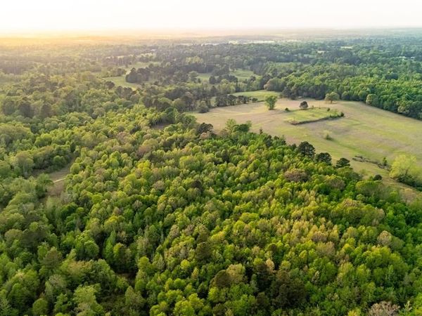 000 FM 838, Overton, TX 75684