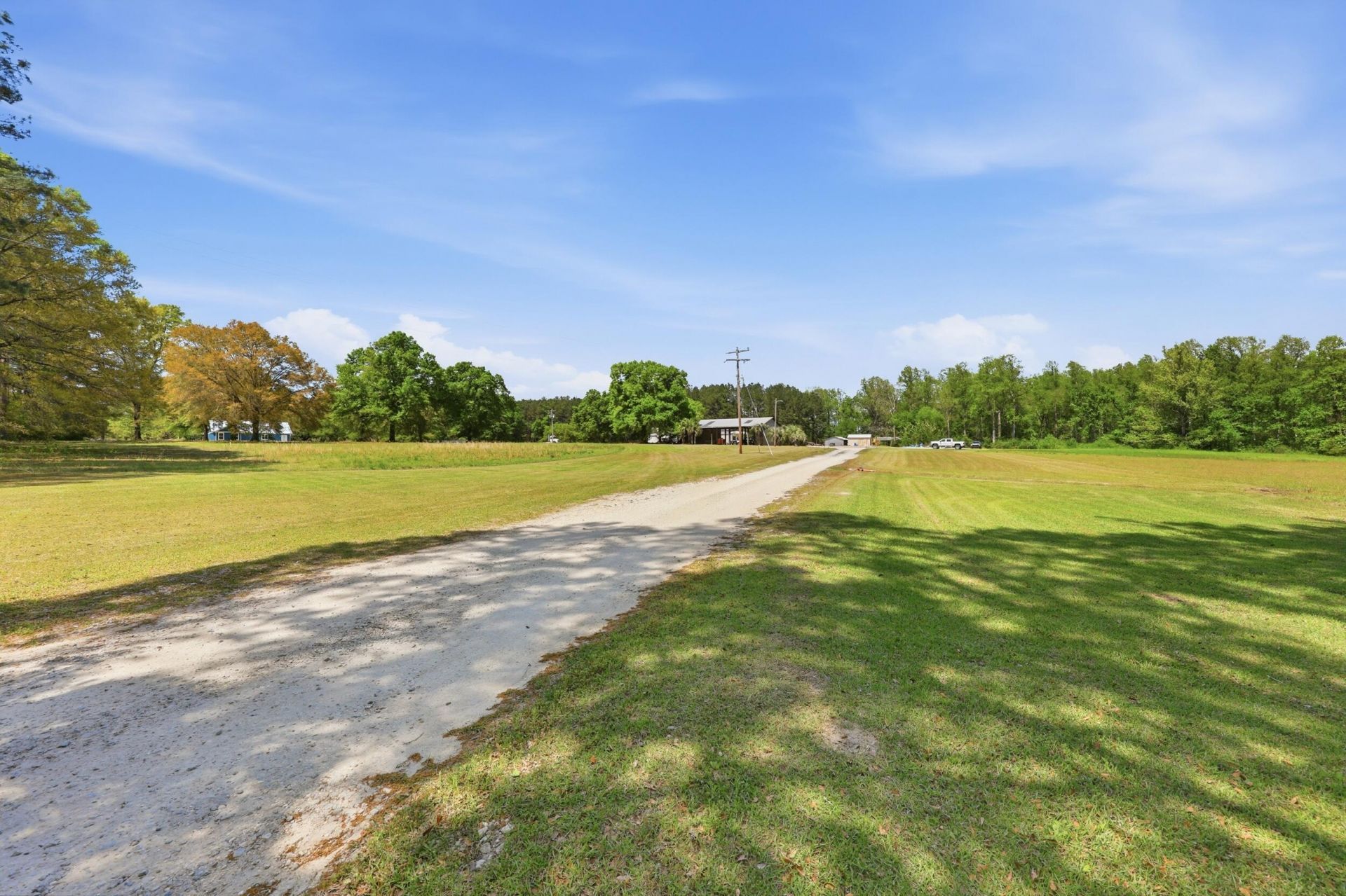 558 Ruffin Road Photo 5