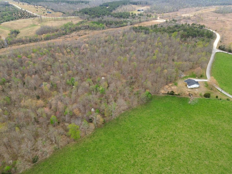 Property Image 19