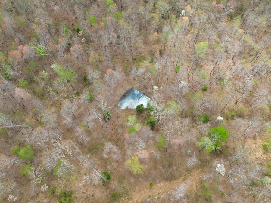 Property Image 46