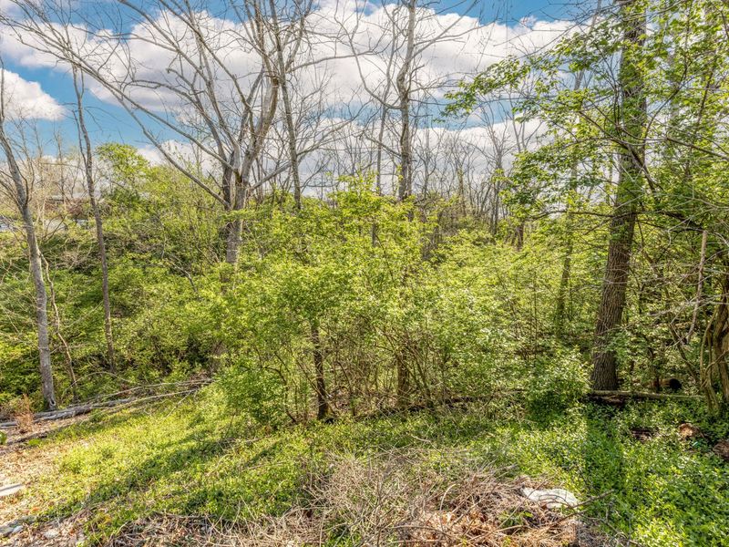 799 Crocus Lane, Taylor Mill, KY 41015 Photo 49