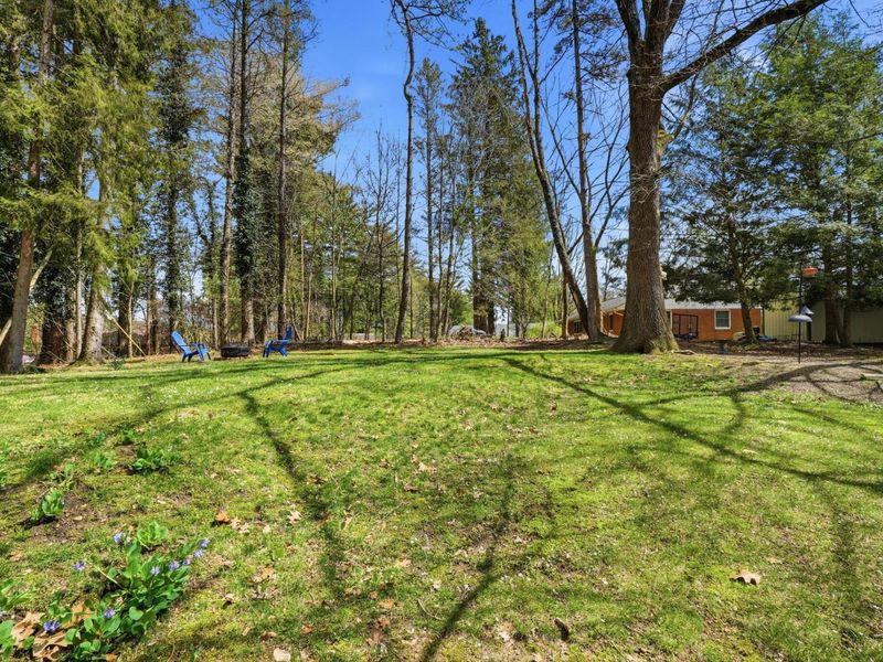 328 Pinetree Drive NE, Granville, OH 43023 Photo 59