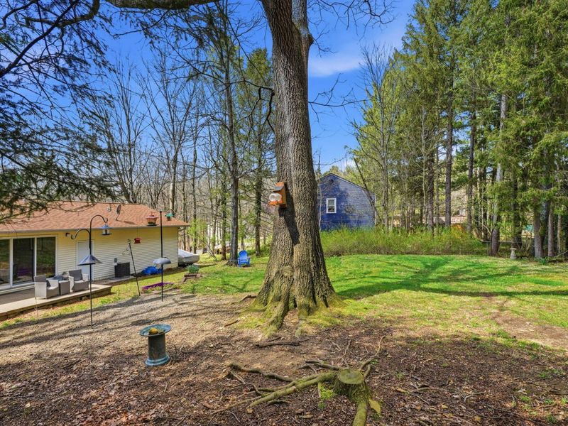 328 Pinetree Drive NE, Granville, OH 43023 Photo 63