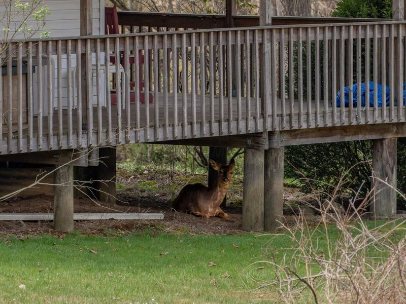 14120 Union Road, Laurelville, OH 43135 Photo 24