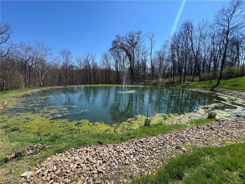 4936 Township Road 311, Millersburg, OH 44654 Photo 12