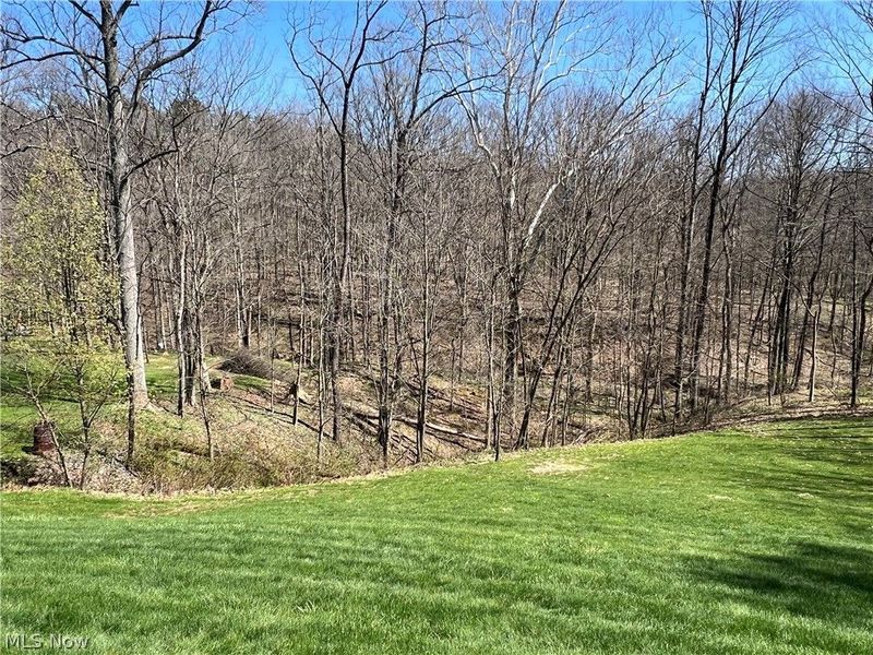 4936 Township Road 311, Millersburg, OH 44654 Photo 16