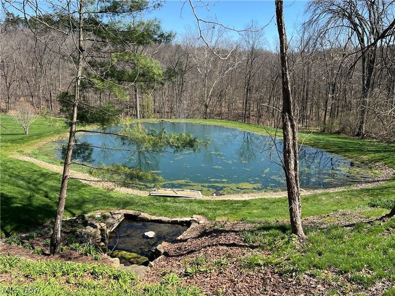 4936 Township Road 311, Millersburg, OH 44654 Photo 6