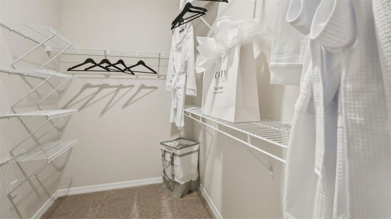 2103 Ashwood Bluff Drive, Ocoee, FL 34761 Photo