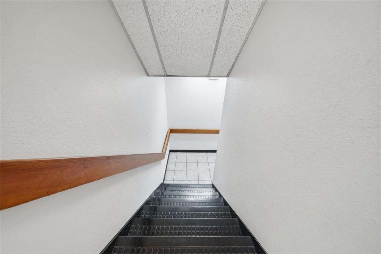104 E Fowler Avenue, Tampa, FL 33612 Photo