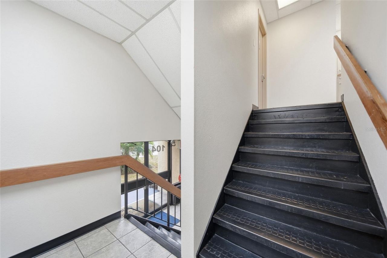 104 E Fowler Avenue, Tampa, FL 33612 Photo