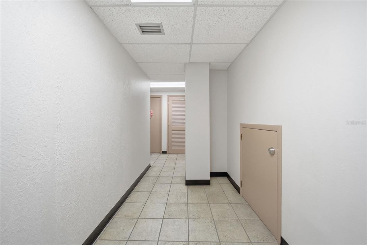 104 E Fowler Avenue, Tampa, FL 33612 Photo