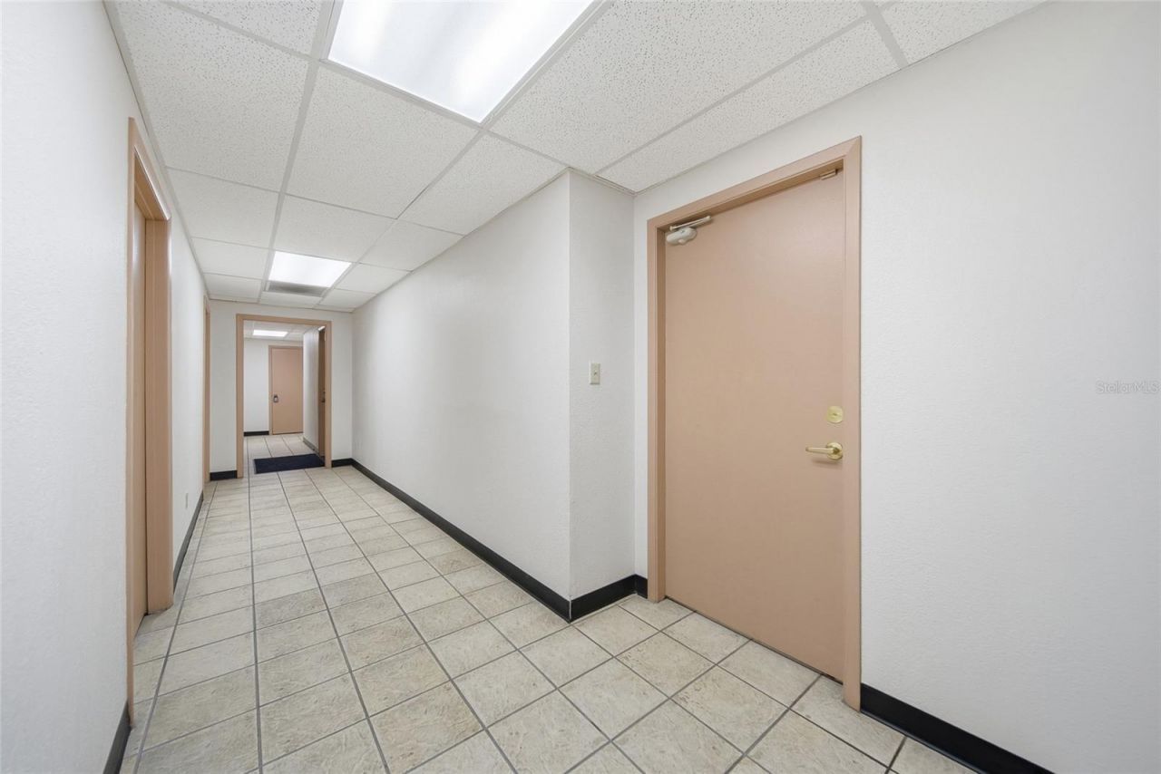 104 E Fowler Avenue, Tampa, FL 33612 Photo