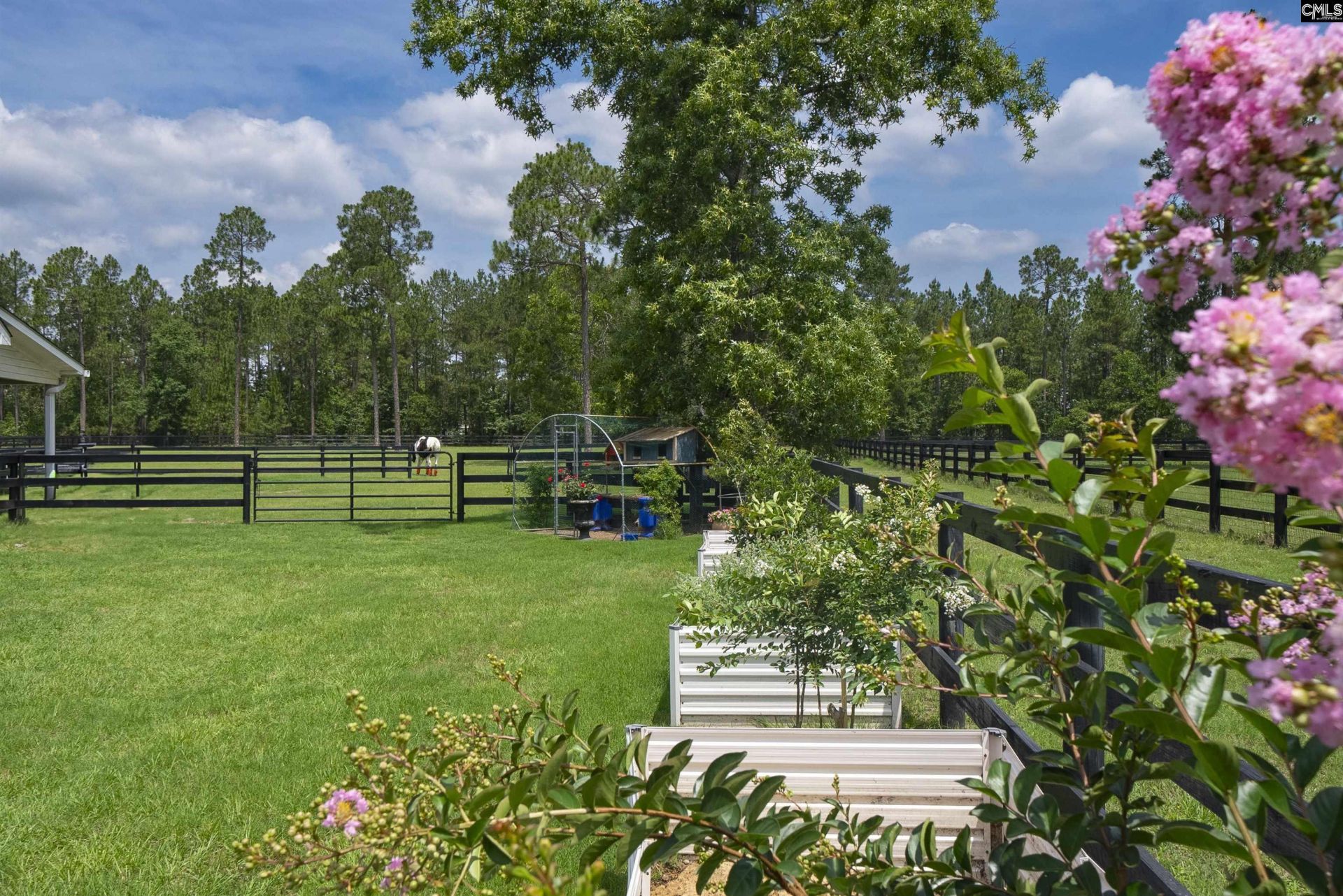 4097 Snaffle Bit Drive Photo 33