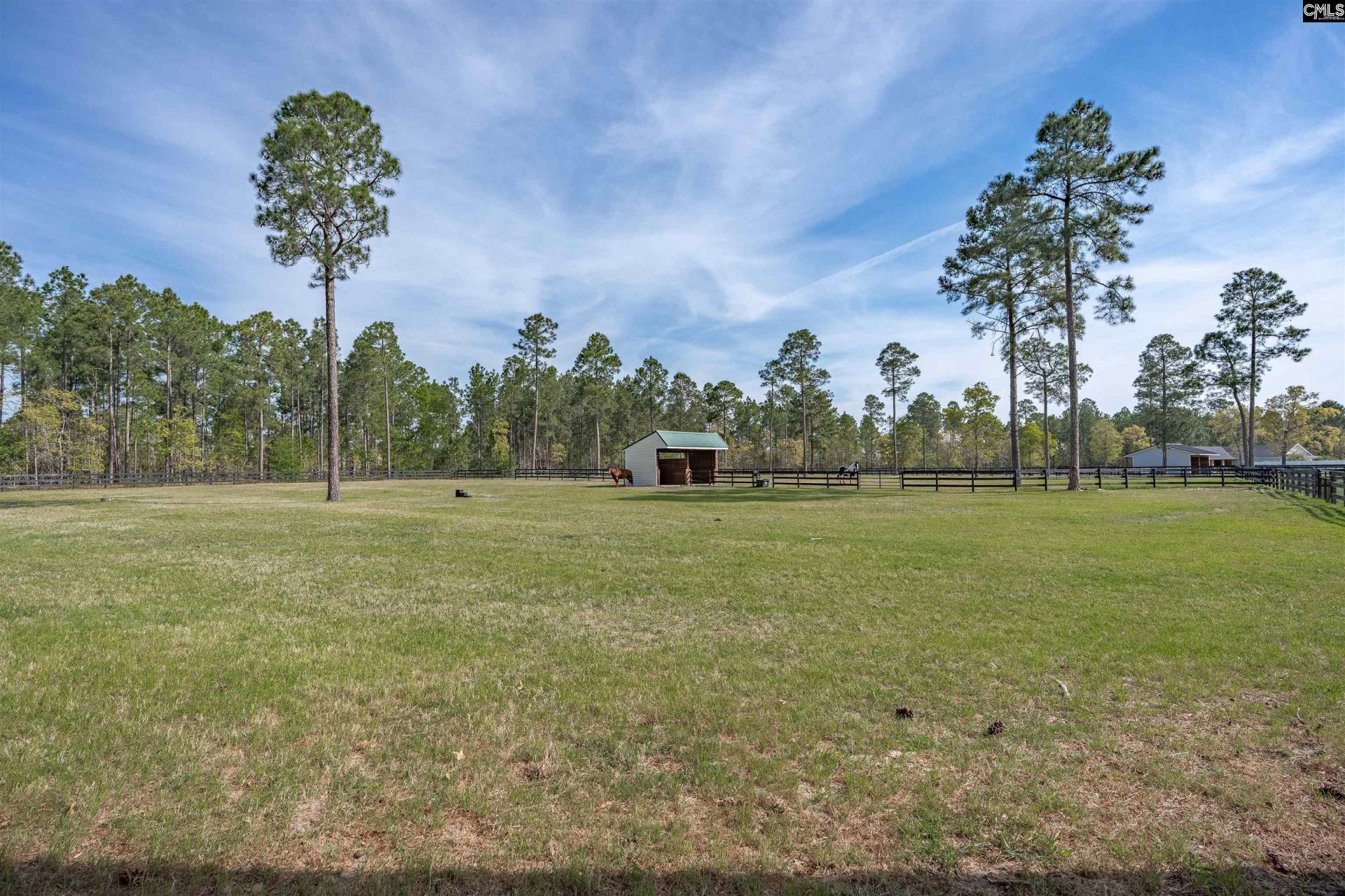 4097 Snaffle Bit Drive Photo 41