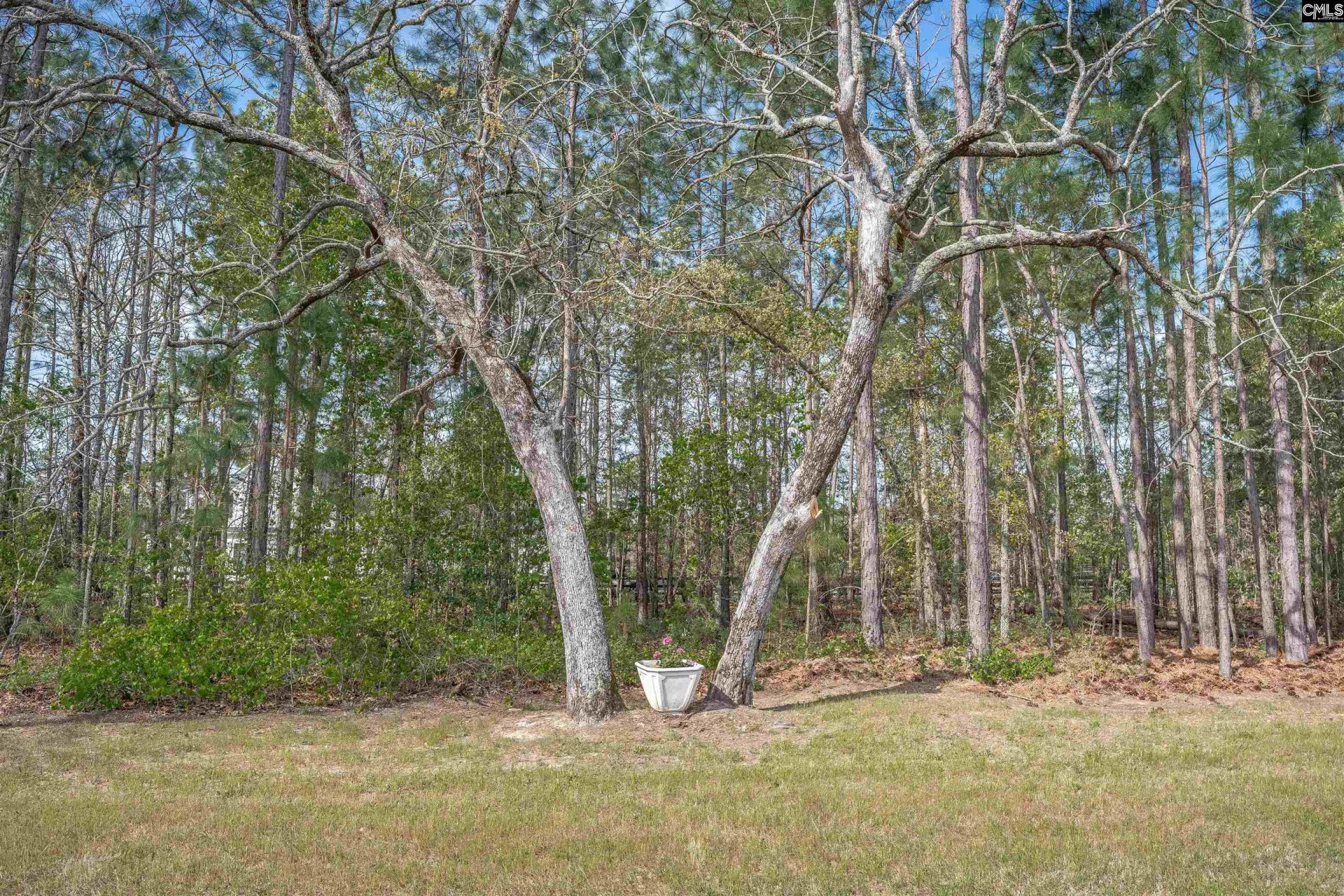 4097 Snaffle Bit Drive Photo 42