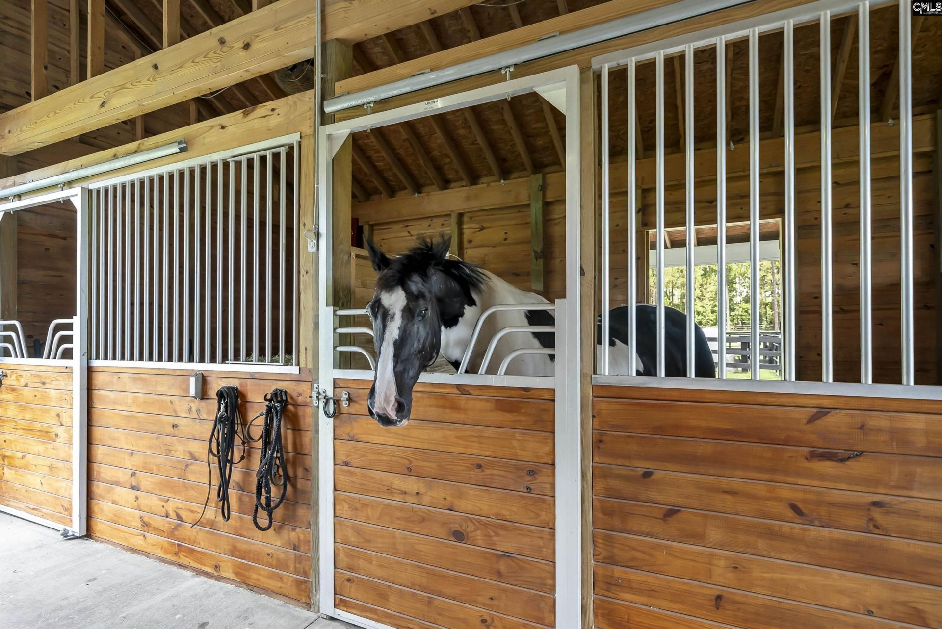 4097 Snaffle Bit Drive Photo 53