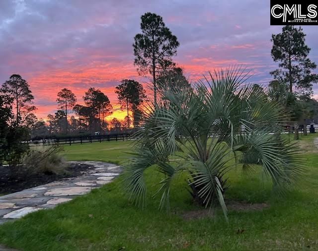 4097 Snaffle Bit Drive Photo 85