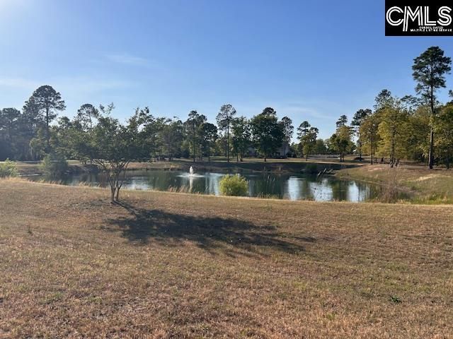 4097 Snaffle Bit Drive Photo 87