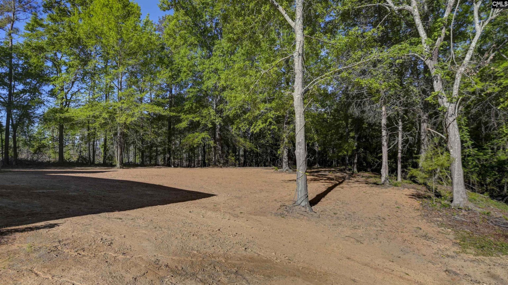 4179 Sc Highway 773 Photo 56