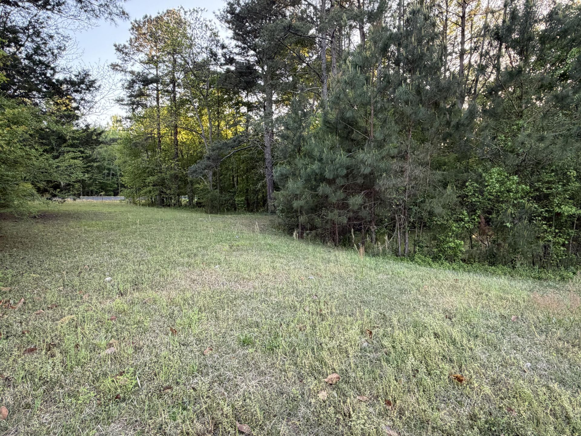 9439 Charleston Highway Photo 30