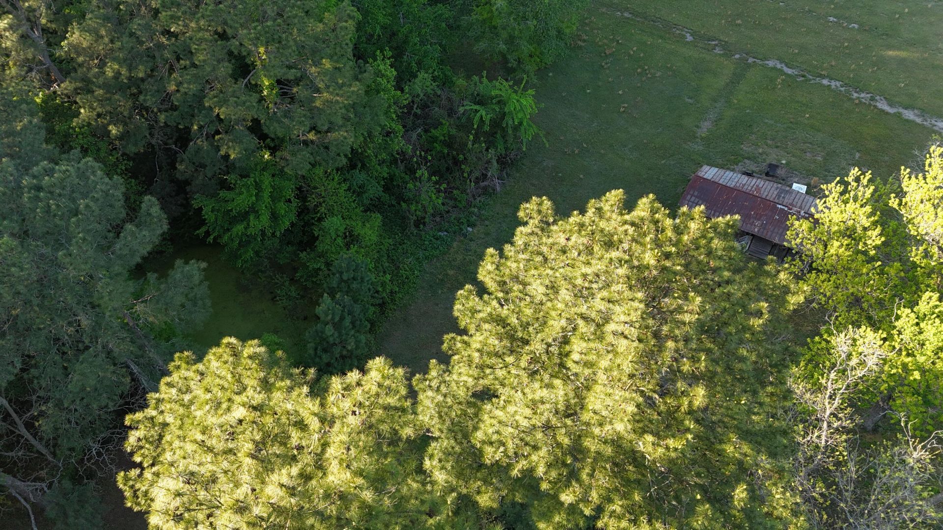 9439 Charleston Highway Photo 33