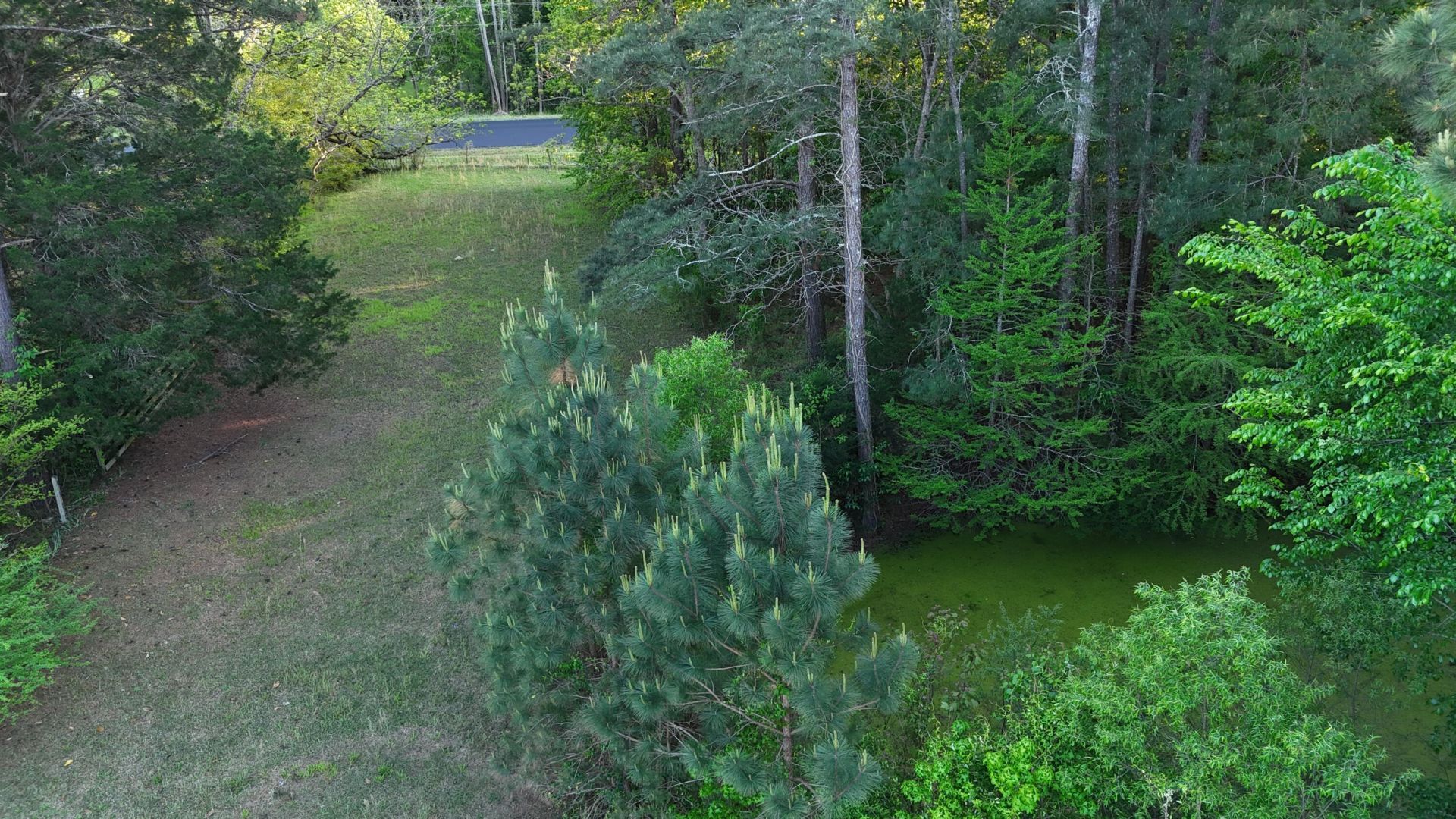 9439 Charleston Highway Photo 9