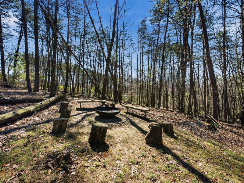 11471 Starner Road, Rockbridge, OH 43149 Photo 108