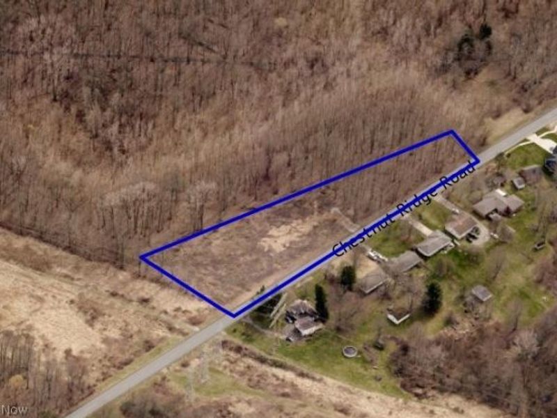 V/L Chestnut Ridge Road, North Ridgeville, OH 44039 Photo 1