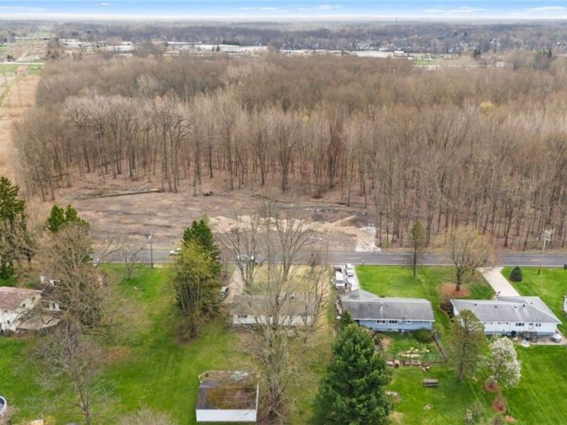 V/L Chestnut Ridge Road, North Ridgeville, OH 44039 Photo 3