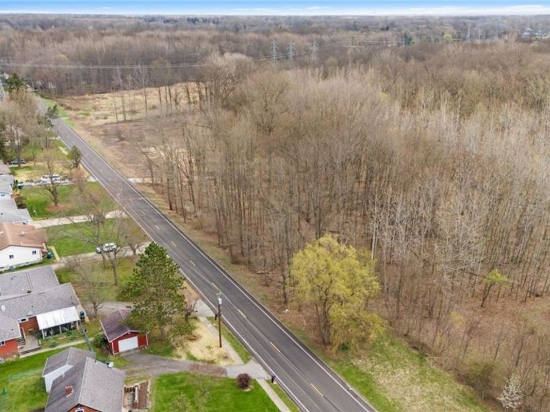 V/L Chestnut Ridge Road, North Ridgeville, OH 44039 Photo 4