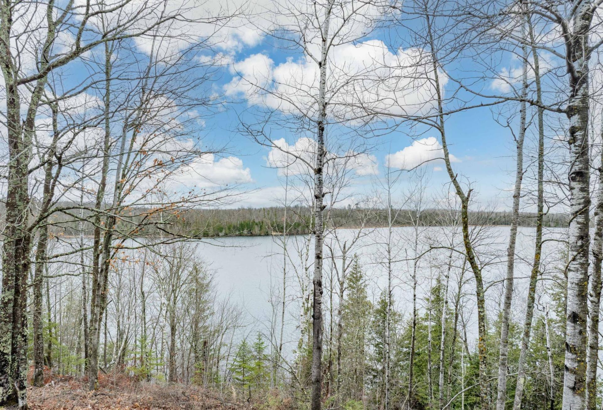 37873 N Star Lake Lane, Marcell, MN 56657