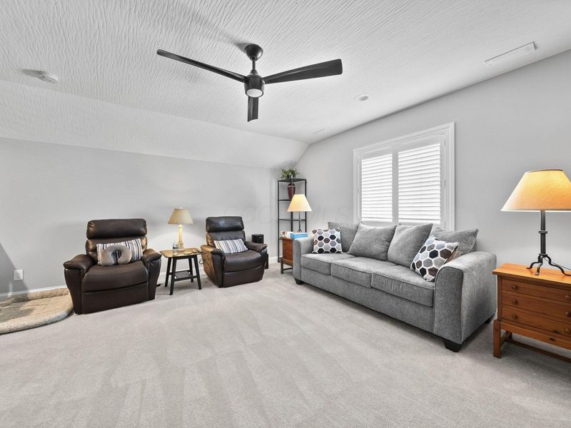 369 Millers Cove Court, Sunbury, OH 43074 Photo 29