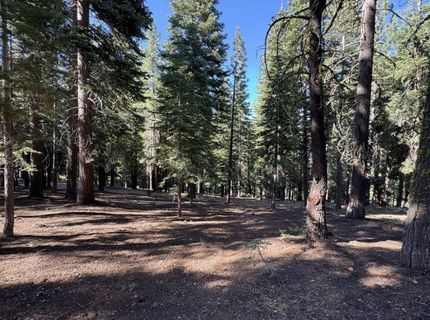 11710 Tundra Drive, Truckee, CA 96161 Photo